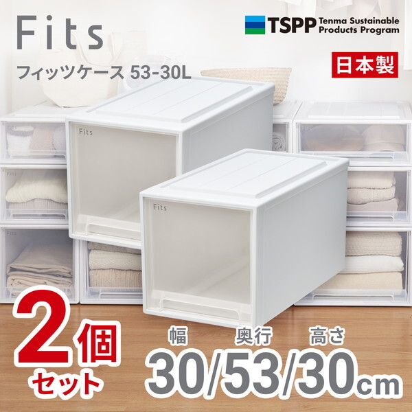 天馬(Tenma) フィッツケース 53-30L (箱仕様2個組) ホワイトクリア