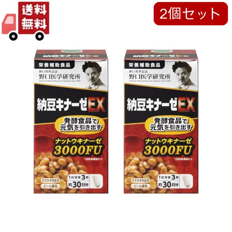 2個セット 野口医学研究所 納豆キナーゼEX 90粒【栄養補助食品】