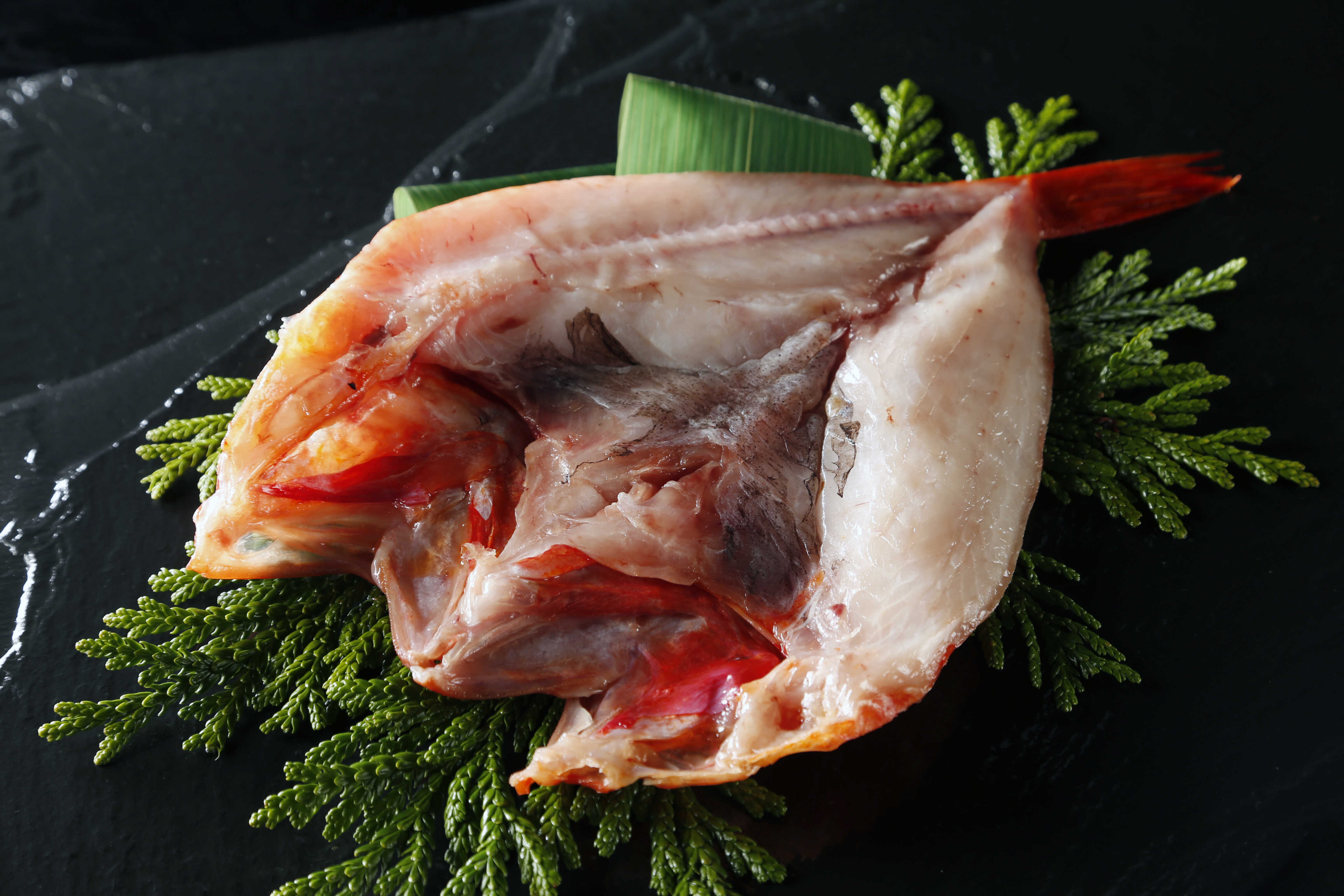 北海道羅臼産キンキ 2Lサイズ【一夜干し】