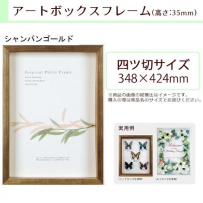A.P.J. BOXフレーム アートボックスフレーム(高さ:35mm) 四ツ切サイズ(348×424mm) シャンパンゴールド 1000015187