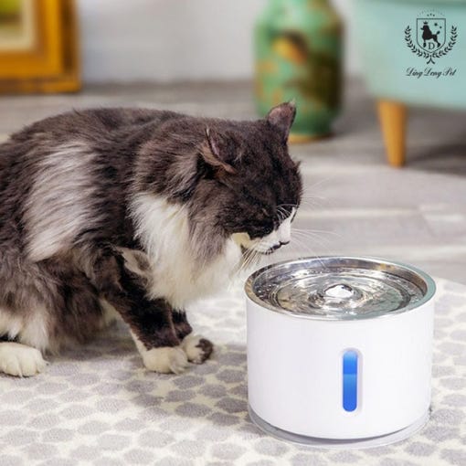 [韓国公式/正規品] ディンドンペット ステン 浄水器 2L + フィルター 1p CBD-0502000