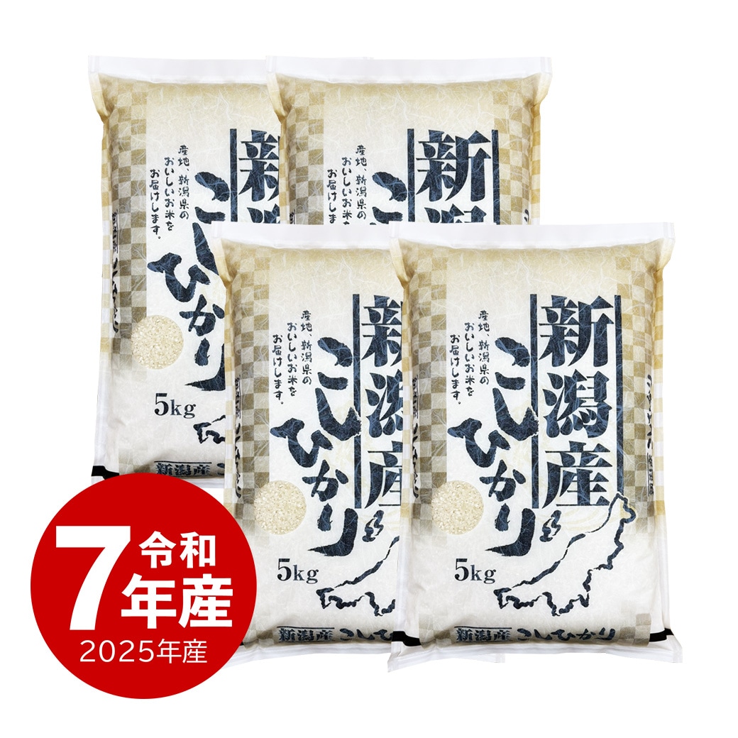 米 20kg 新潟県産コシヒカリ 令和7年産 お米 白米 20キロ こしひかり