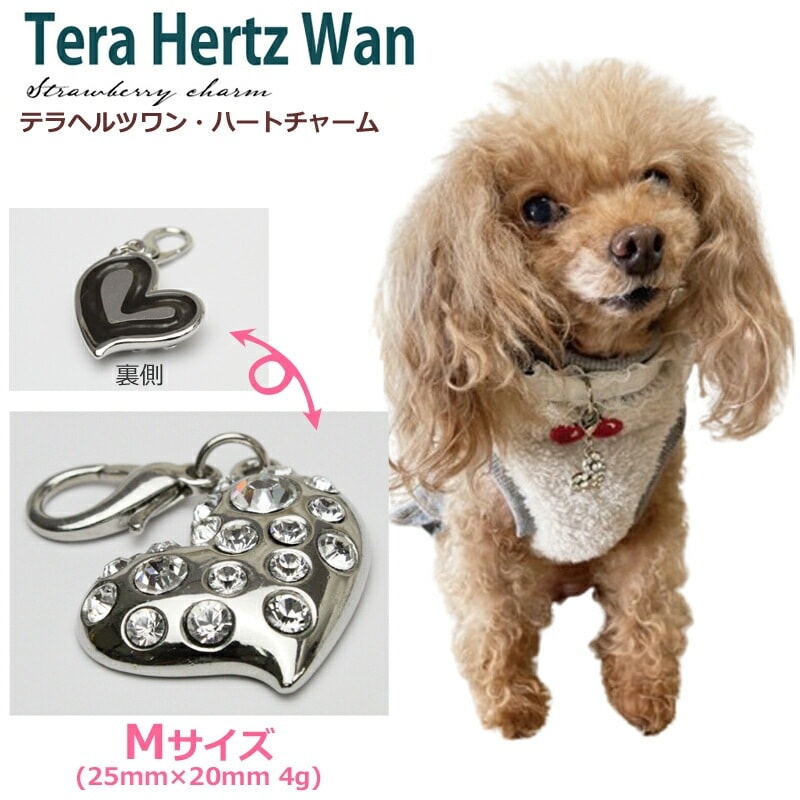 テラヘルツワンハートチャーム Mサイズ 犬用アクセサリー ペット介護 犬用 犬介護 ワンコ テラヘルツワン 日本製 クークチュール 2メ-3運 8052 【T】