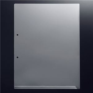 （まとめ） G-Aim 2穴ホルダー マチなし A4タテ クリア YG-200 1パック（10枚） (×15セット)