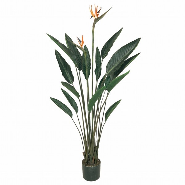 FG007416　造花　ストレチアプラント メーカー直送