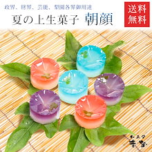 Qoo10 お中元 ギフト 和菓子 上生菓子 朝顔 食品