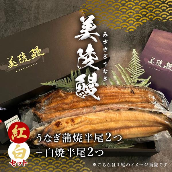【食べ比べ】フィレうなぎ（半身）蒲焼２＋白焼２ / 鰻 ウナギ ギフト