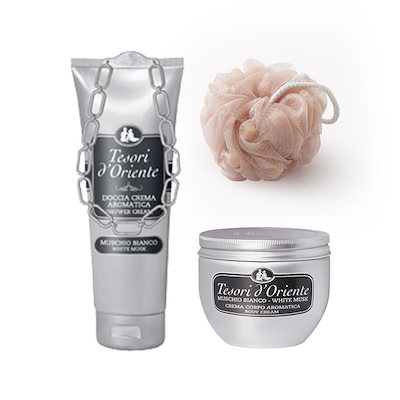 ♥マジョリカ様♥丸葉フラメンコ錦です(*^^*) エケベリア 多肉植物