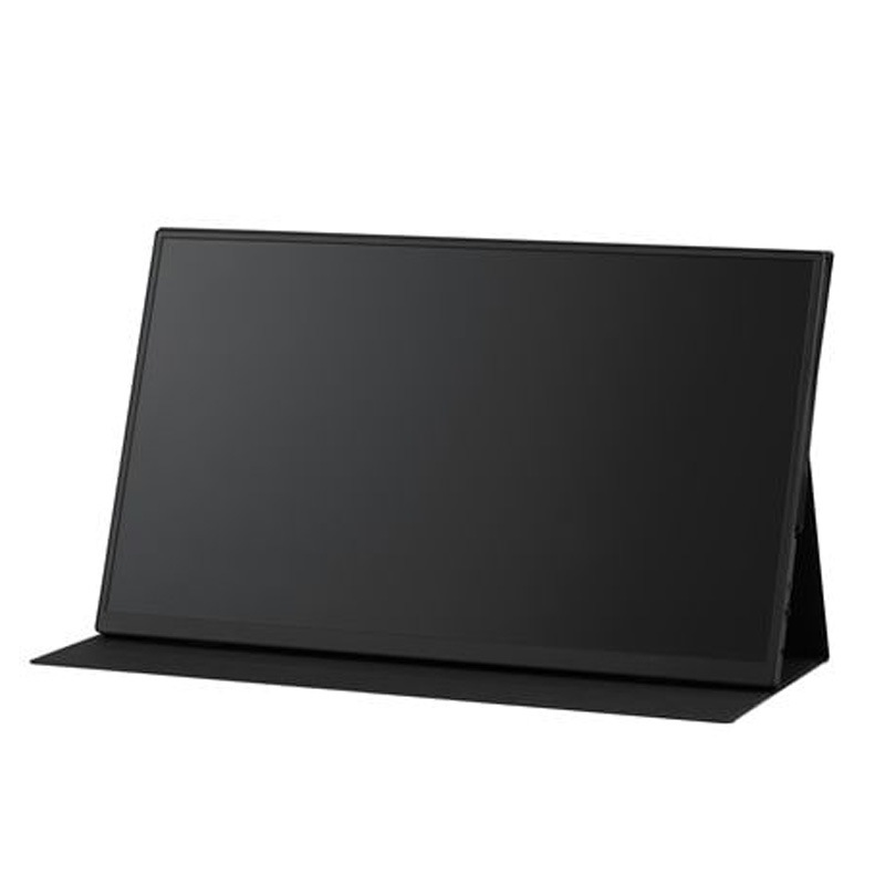 アイリスオーヤマ IRIS OHYAMA ポータブルモニター ブラック DP-EF184S-B 18.5インチ