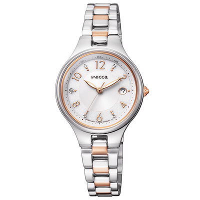 掛け軸 川島紫翠 虎 竹林千里 絹本 希少 軸装 茶道具 掛軸 美品