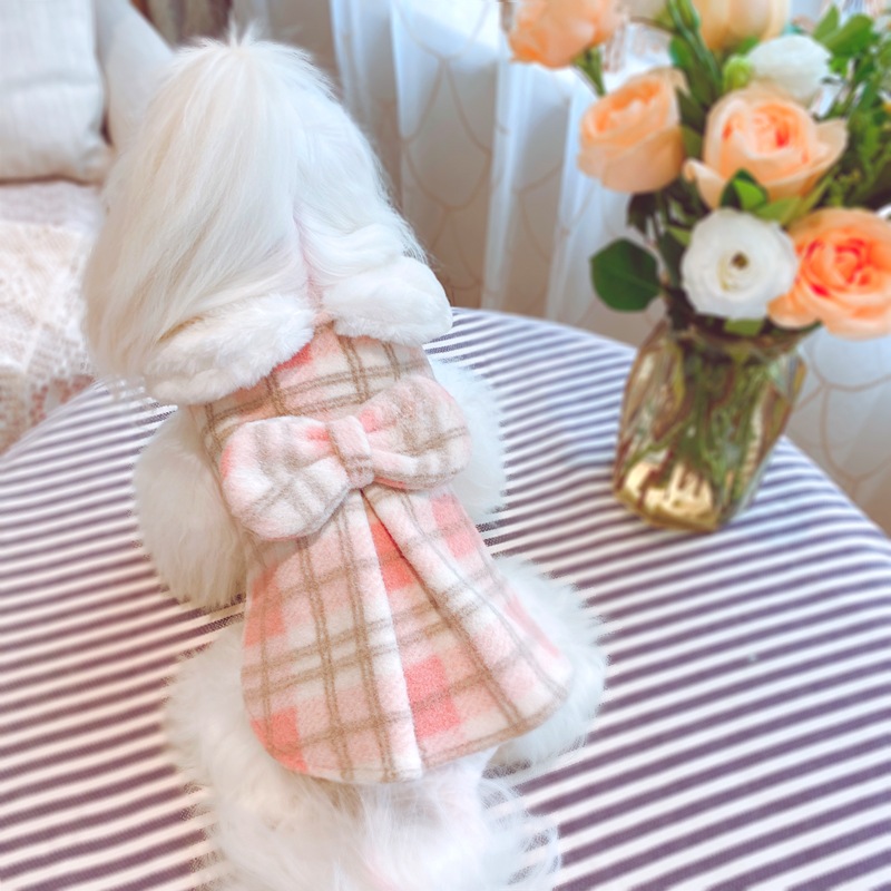 犬のスカートプリンセスペティスカート服新しいネットセレブ春テディ春ペットパーソナリティ面白い創造性