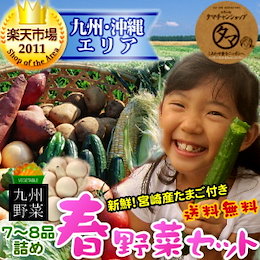 【送料無料】九州野菜ミニミニお試し詰め合わせセット★九州の美味しい野菜をタマチャンショップが選りすぐりで7~8品詰めてお届け(宮崎産たまご付き)