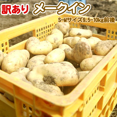 メークイン 訳あり メークイン 北海道 じゃがいも S-...のサムネイル