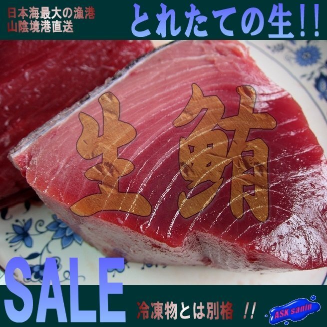 生まぐろ「背下3kg位」脂のってます目利きの選んだ本鮪!! 山陰境港産