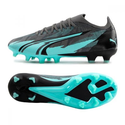 新倉晴比古 義山朝顔平茶碗 共箱有り 茶道具 【公式通販】