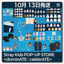 straykids 通常盤 10セット straykids 通常盤 10セット straykids 通常盤 10セット Stray