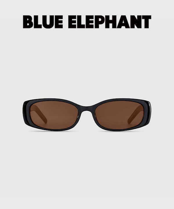 【BLUE ELEPHANT】RANGER サングラス RANGER black - BLUE ELEPHANT