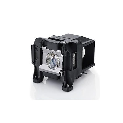 平水指、安南とんぼ、加藤五陶作、うめ12番 【公式通販】