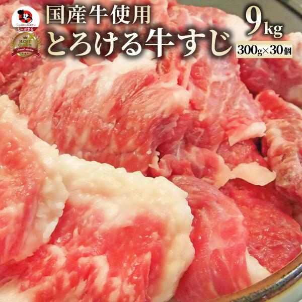 牛すじ 煮込み用 メガ盛り 9kg 牛肉 冷凍 肉 お肉屋さんの 牛 すじ 国産 生 牛スジ 訳あり お取り寄せ 送料無料 プロ用 業務用 小分け