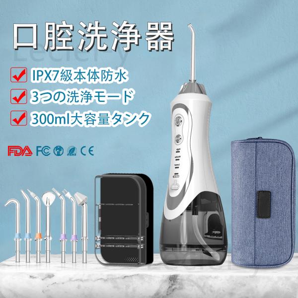 2024最新 口腔洗浄器 ジェットウォッシャー 鼻洗浄器 口腔洗浄機 IPX7防水 専用ケース 3段階替え 携帯型 歯周ポケット USB充電式 歯垢洗浄 6,073円