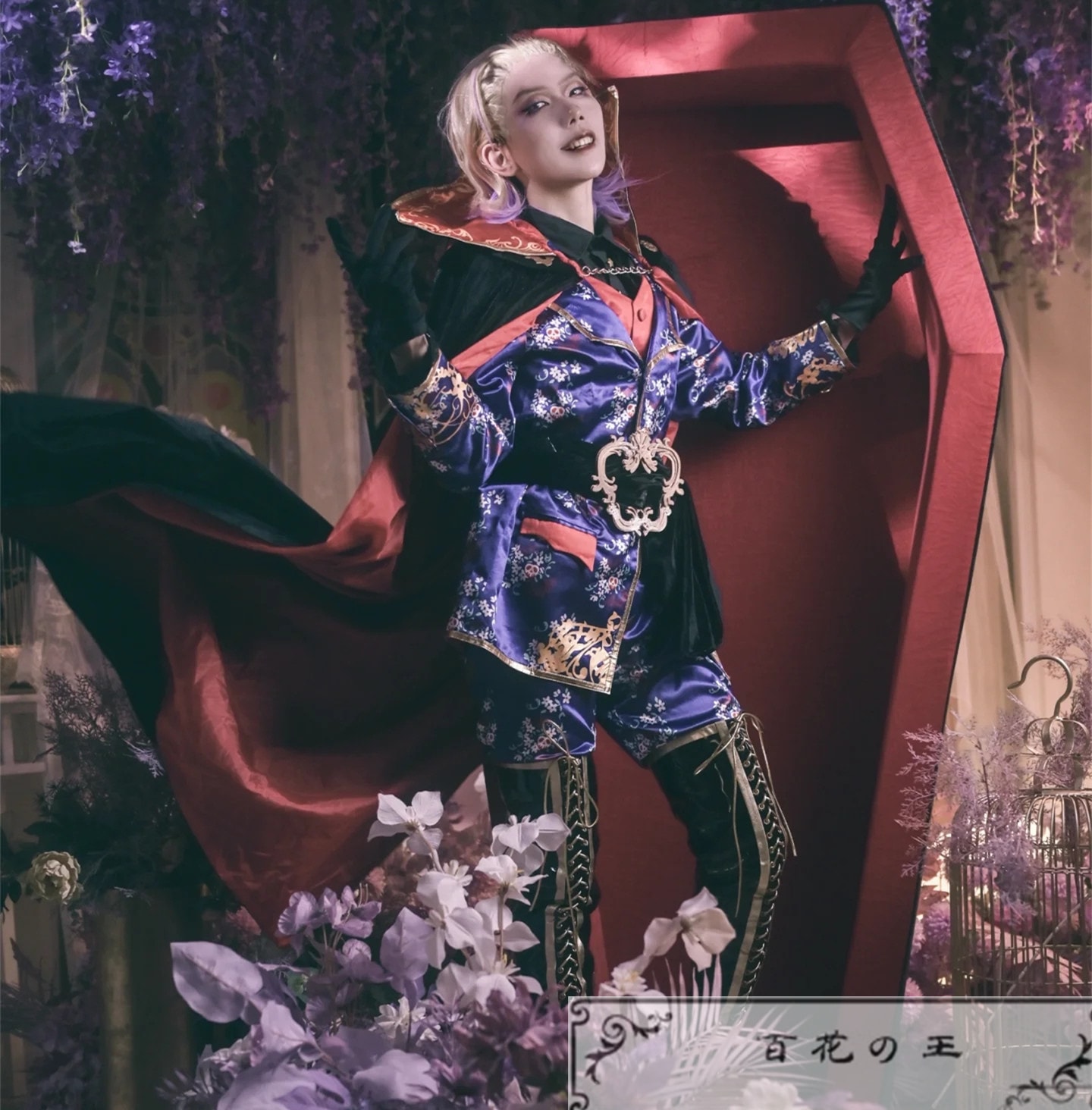 ツイステ スケアリーモンスターズ ヴィル Vil ハロウィン コスプレ衣装 コスチューム