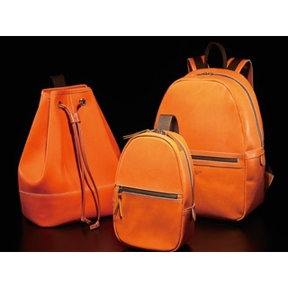 レザーバックパック17L バッグ (T-100LB)