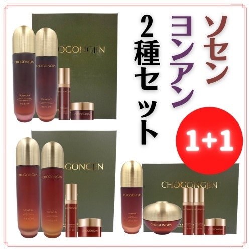 超豪華セット超供辰（チョゴンジン）ヨンアン／ソセン2種企画セット　１＋１