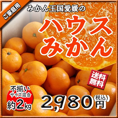 ハウスみかん ハウスミカン 温州みかん 愛媛県産 み...のサムネイル