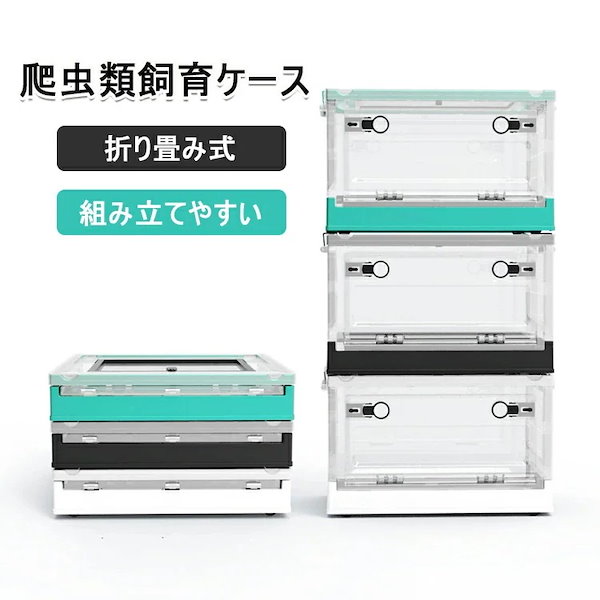 爬虫類ケージ2個即育成セット限定土日プレゼント