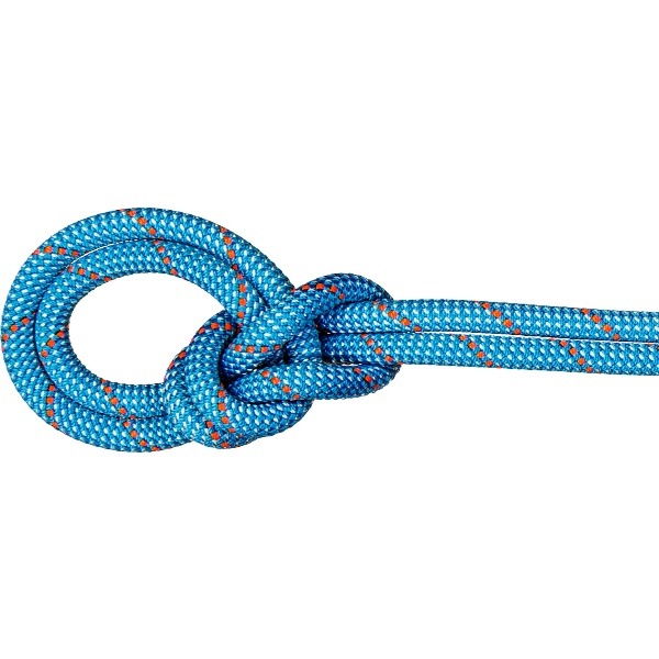 MAMMUT マムート 9.8 Crag Classic Rope 70m アウトドア クライミング用品 201005870-40304 16,830円