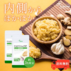 にんにく＋しょうが 約3か月分2袋 C-162-2 サプリ 健康食品 31.5g(350mg 90カプセル) 2袋