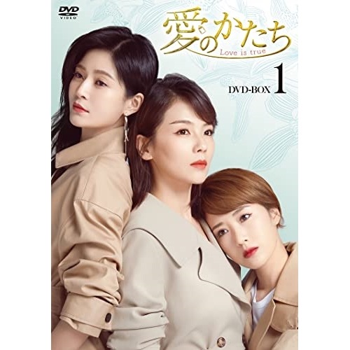 愛のかたちLove is true DVD-BOX1 ／ リウ・タオ (DVD) HPBR-2441
