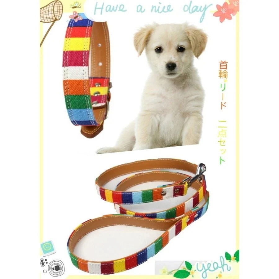 [急速出荷]犬用 首輪 ペットリード ２点セット 帆布七つ色 帆布＋レザー メール便対応1145124253