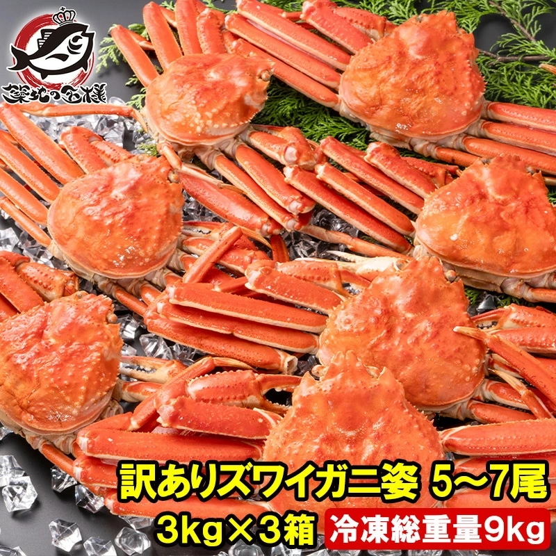 訳あり ズワイガニ 姿 合計9kg前後 15～21尾 3kg×3箱 冷凍ゆでがに 本ズワイガニ ボイル冷凍 ズワイ蟹 ずわいがに かに カニ 蟹 ずわい蟹 豊洲市場 かに鍋 焼きガニ おせち