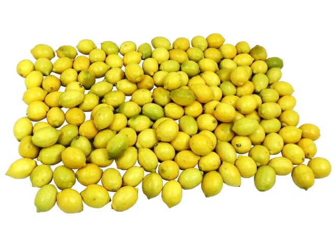 チリ・アメリカ産など =ノンケミレモン= 大きさおまかせ 約15kg ノンケミカル/防黴剤（防かび剤）不使用 予約 入荷次第発送