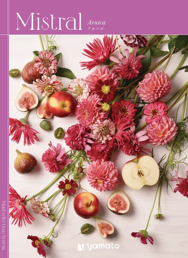 【カタログギフト Mistral（ミストラル）アルニカ】選べる お返し ギフト プレゼント 内祝い ギフト お礼 結婚祝い 出産祝い 香典返し