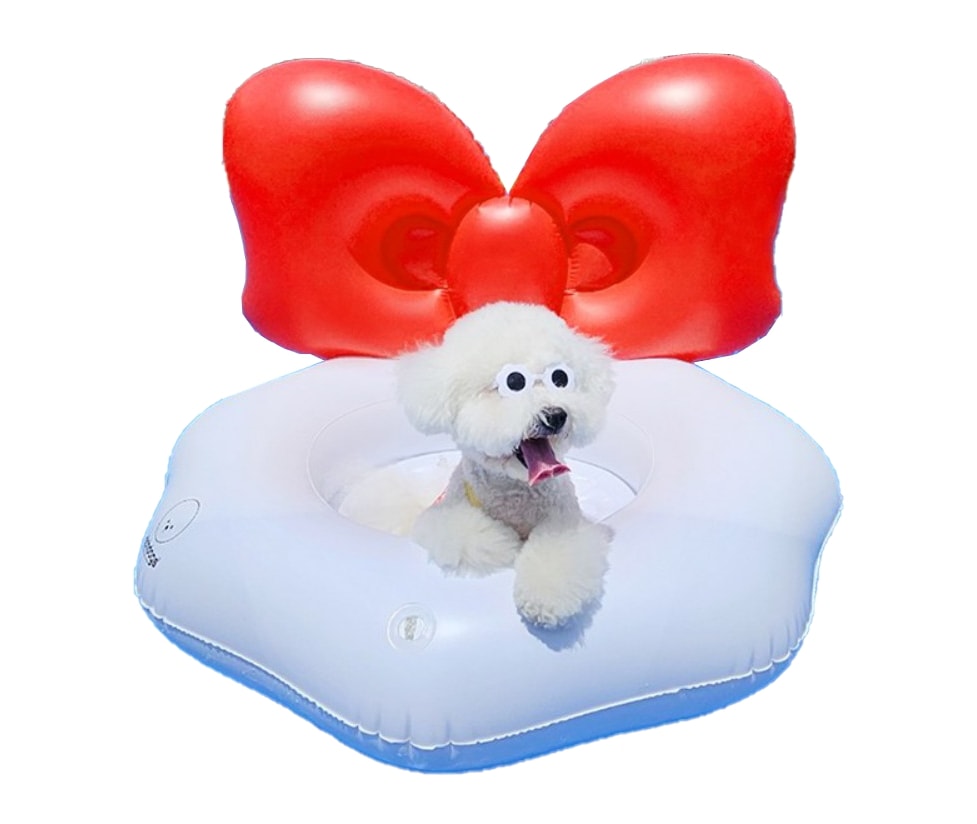 [ Richdogs ] 子犬 浮き輪 ペット 水遊び 水泳 王 リボン 浮き輪