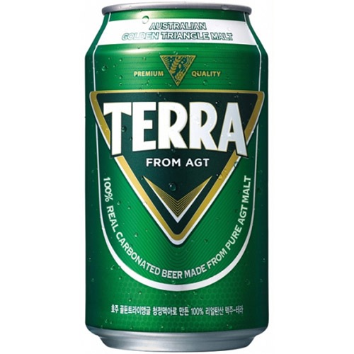 韓国 ビール TERRA 355ml x 24缶 韓国酒 お酒