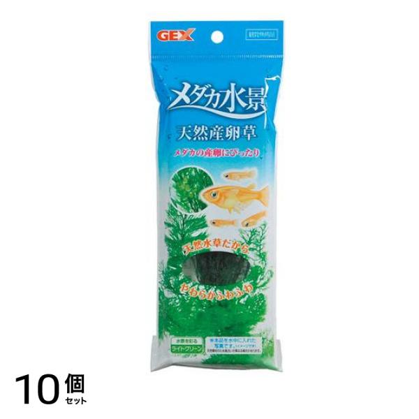 GEX メダカ水景 天然産卵草 1個入 10個セット