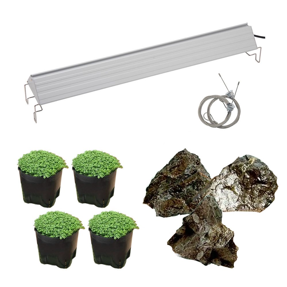 （水草）風山石とキューバパールグラスレイアウトセット（無農薬）＋アクロＬＥＤ　ＧＲＯＷ６００　６０ｃｍ水槽用　本州四国限定　ＣＲＣ10―15―10―40―40
