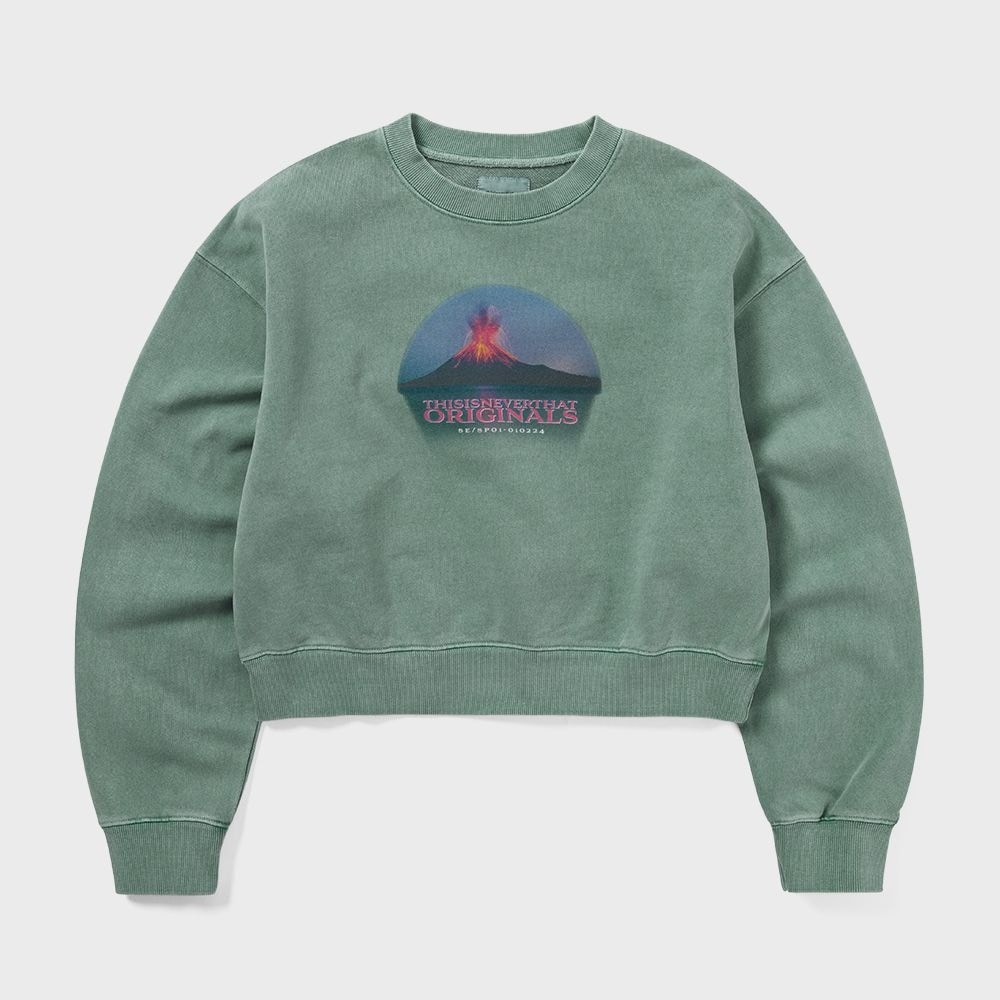 ディス・イズ・ネヴァー・ザット・ボルケーノ W クルーネックエメラルド 10,169円