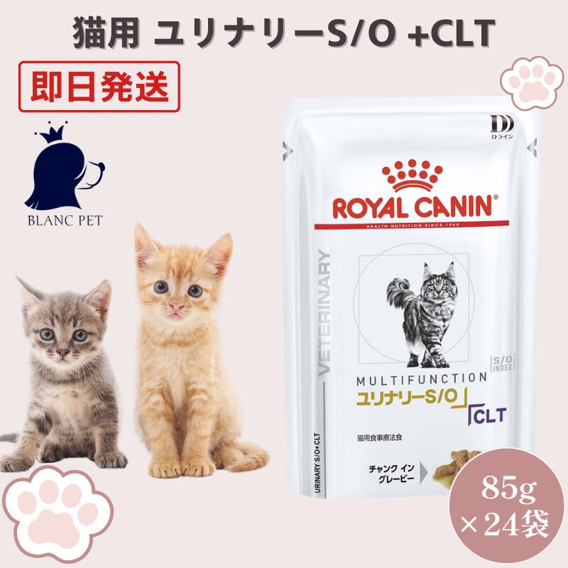 ロイヤルカナン 猫 ユリナリーS/O +CLT ウェット パウチ 療法食 85g×24袋