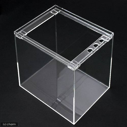 水槽　アクリル水槽　ラクシス　Ｎｏ．３　（２５０X２００X２５０ｍｍ）　２５ｃｍ水槽　ＣＲＣ10―11―04―10―00