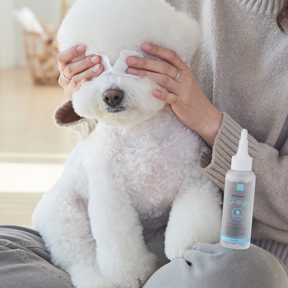 ブリッジテール ペトセラ キュアイ ペット 涙洗浄剤