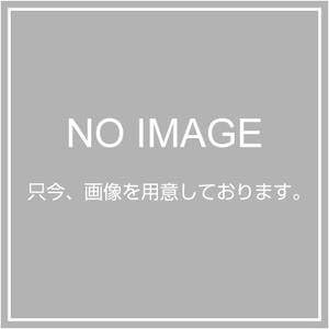 エプソン MCSPB1R4 MC厚手マット紙ロール/728mm幅×25m