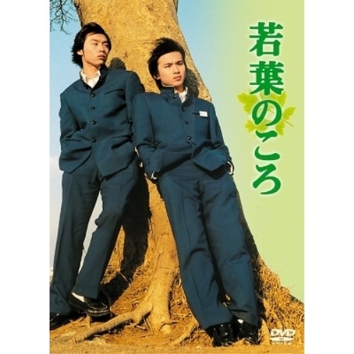 若葉のころ DVD-BOX リニューアル版 ／ 堂本剛/堂本光一 (DVD) TCED-5253