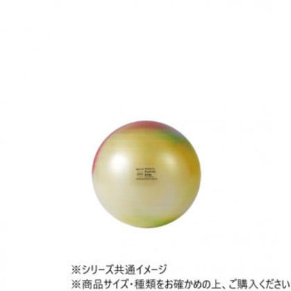 ダンノ(DANNO) ギムニクアルテ 75(レインボー) D5987