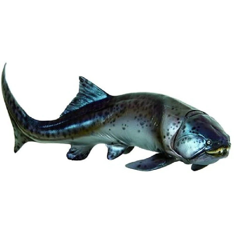 PNSO ダンクルオステウス ダンクレオステウス 板皮類 古代魚 海洋生物 フィギュア プラモデル おもちゃ 模型 リアル PVC 恐竜好き 誕生日 プレゼント オリジナル 塗装済 完成品 23 4,325円