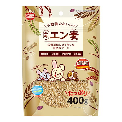 他サイト： 小動物のおいしいムキエン麦　４００ｇ　ＣＲＣ50―20―21―40―00の商品画像