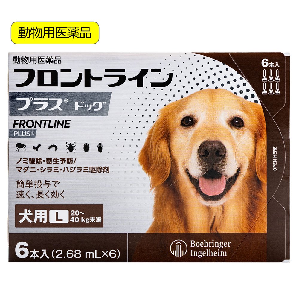 動物用医薬品　ドッグ　Ｌ　６本　動物用医薬品　ＣＲＣ40―81―00―00―00